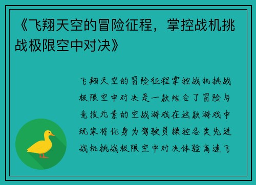 《飞翔天空的冒险征程，掌控战机挑战极限空中对决》
